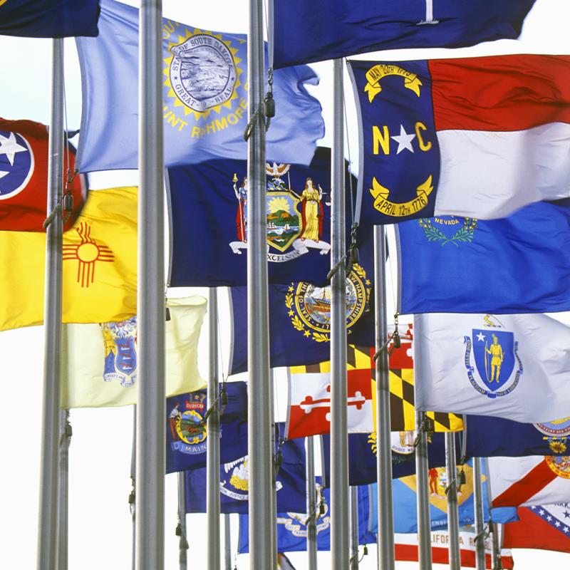 50 State Nylon Flag Set