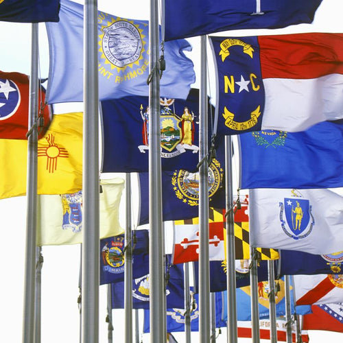 50 State Nylon Flag Set