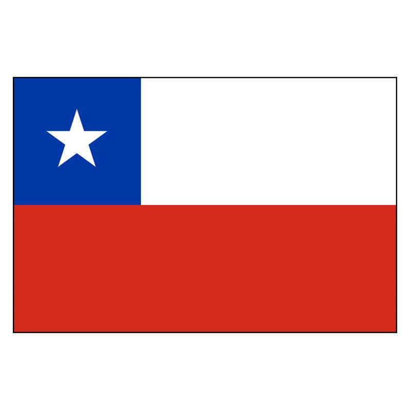 Chile National Flag — Nylon