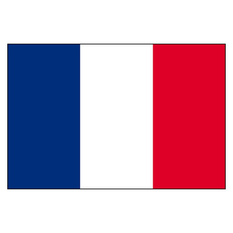 France National Flag — Nylon