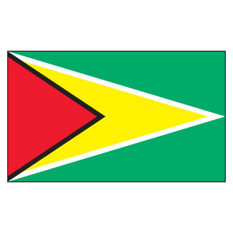 Guyana National Flag — Nylon