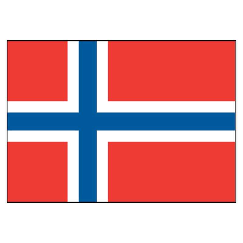 Norway National Flag — Nylon
