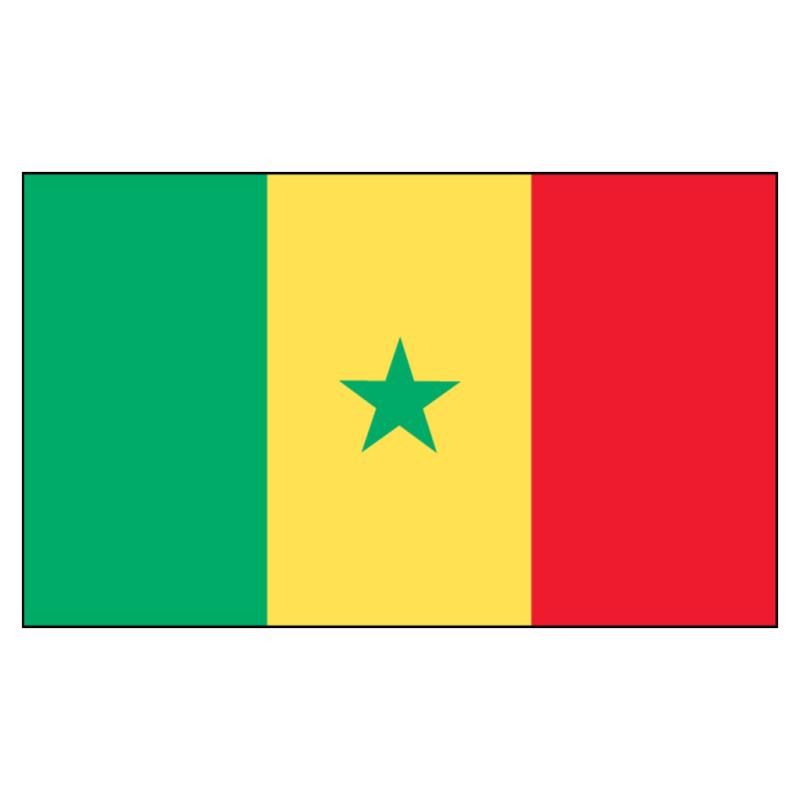Senegal National Flag — Nylon