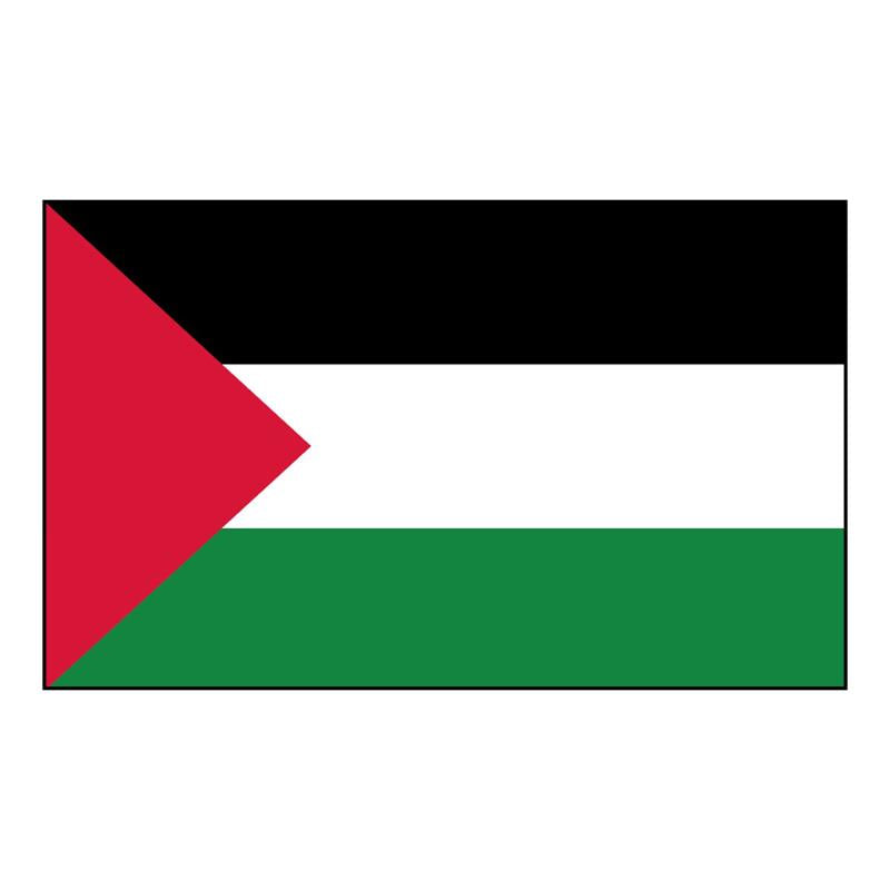 Palestine Flag — Nylon
