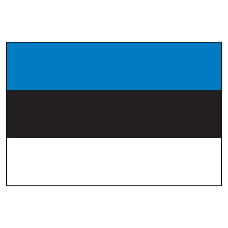 Estonia National Flag — Nylon