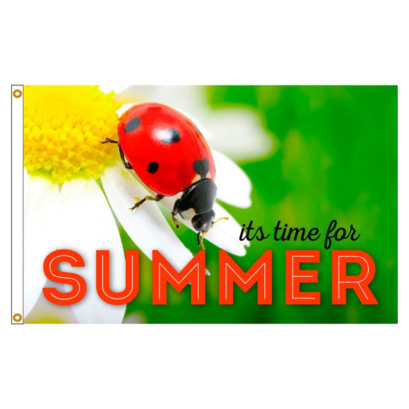 Lady Bug Nylon Flag