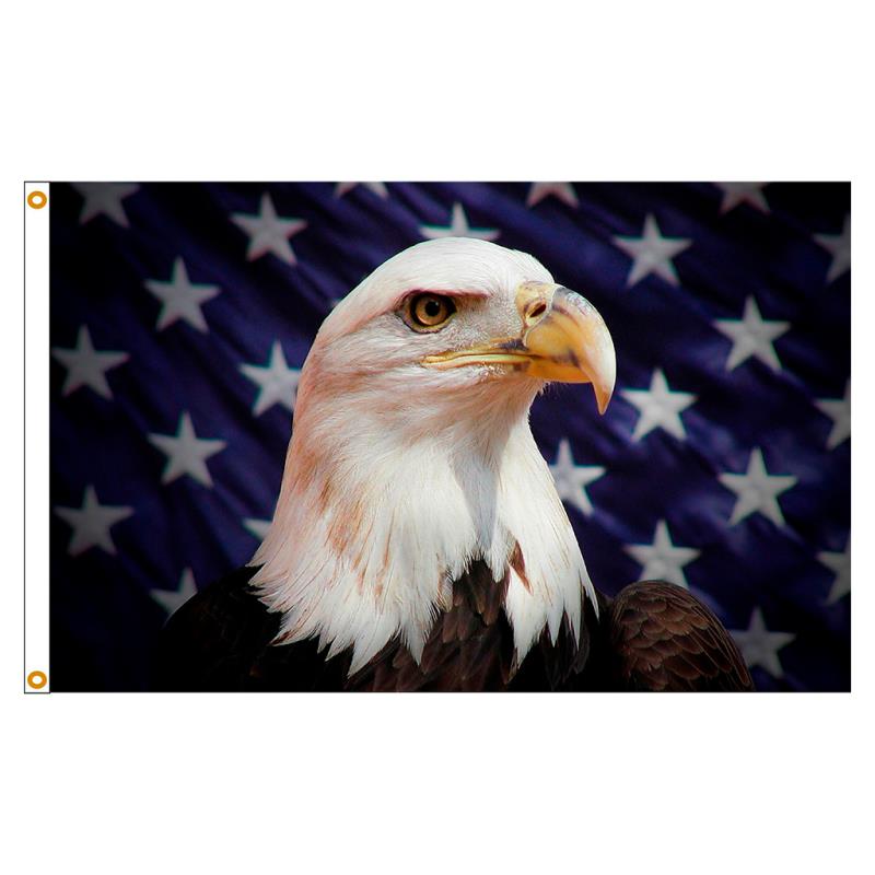 Starfield Eagle Nylon Flag