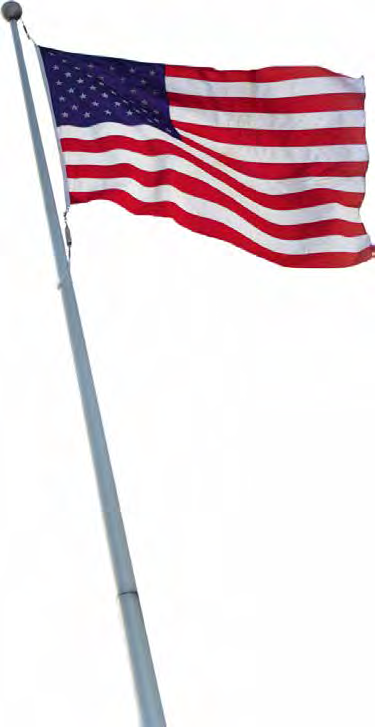 FlagSource catalog product example